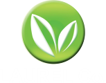 Laurel
